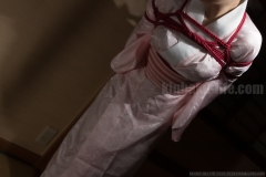 Aki kinbaku/shibari photo