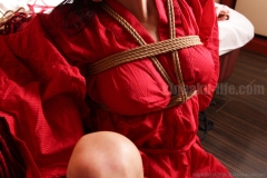 D kinbaku/shibari photo