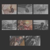 X_00_Enndie-04