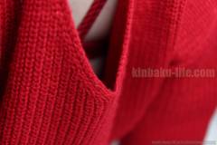 Hana kinbaku photo