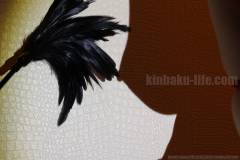 Hana kinbaku photo