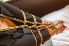 Hana kinbaku photo