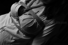 IMG_4331