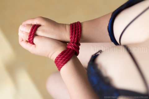 Kaori kinbaku/shibari photo
