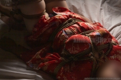 Kaori kinbaku/shibari photo