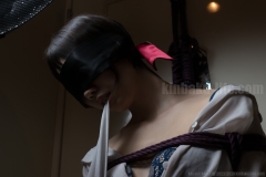 Mai