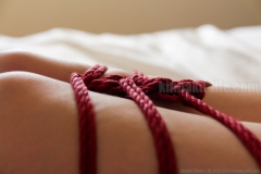 Maiko kinbaku/shibari photo