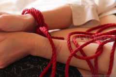 Maiko kinbaku/shibari photo