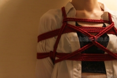 Maiko kinbaku/shibari photo