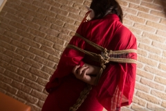 Yukari kinbaku/shibari photo